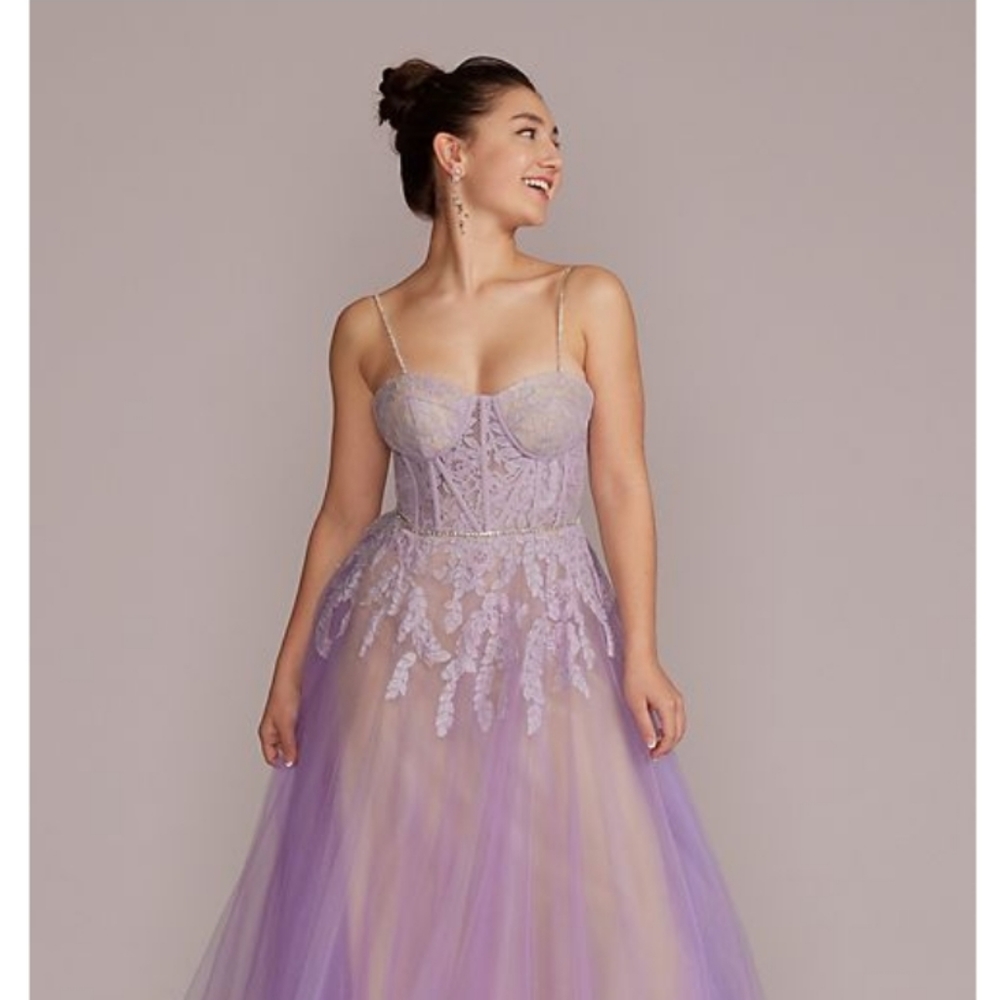 Jules and Cleo Tulle with Illusion Lace Corset in Lilac Size 8 NWT